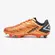 CHUTEIRA CAMPO UMBRO DOMAIN