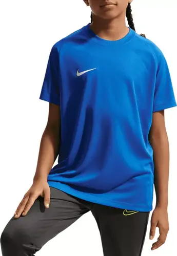 CAMISA NIKE DF PARK VIII JSY SS MASCULINA