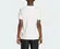 CAMISA ADIDAS J COLLEG T JUVENIL